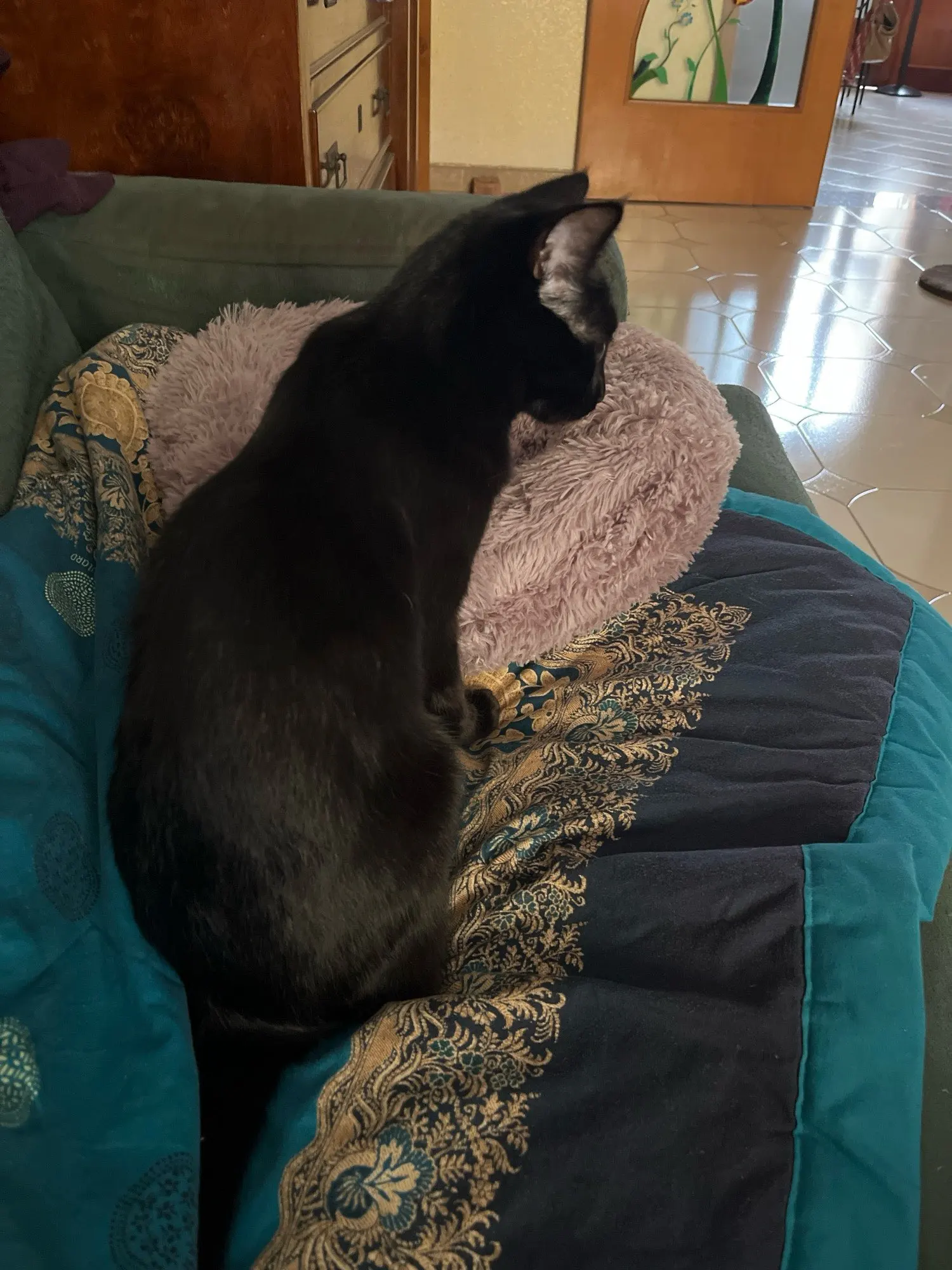 Plush Donut Cat Bed: Cozy, Washable Comfort for Pets photo review