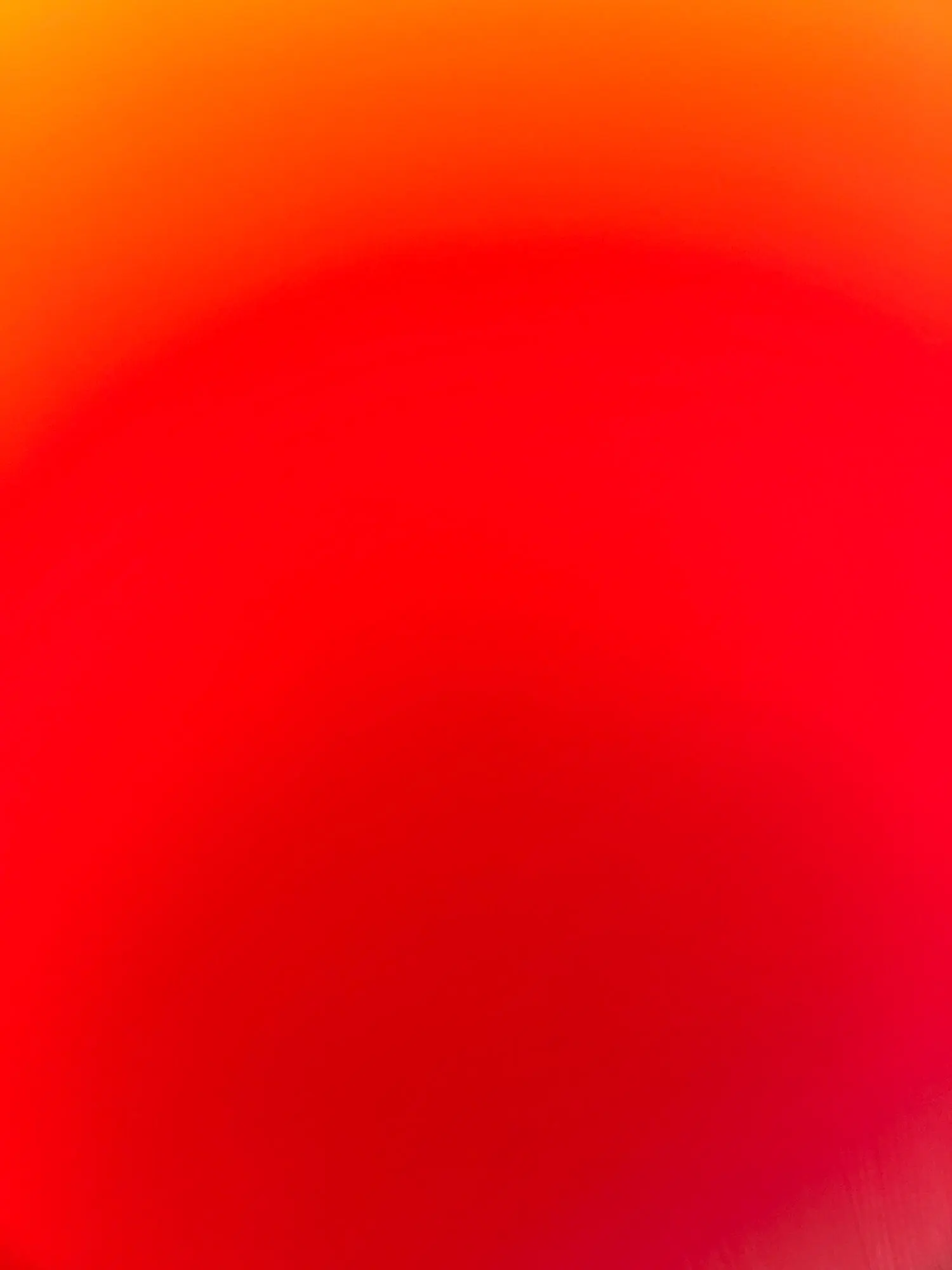 Cozy Round Pet Bed in Stylish Gradient for Large Dogs photo review