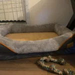 Jumbo Orthopedic Memory Foam Dog Bed - Waterproof & Cozy photo review
