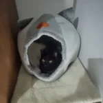 Cozy Cotton Cat Cave: Ultimate Winter Pet Bed Retreat photo review