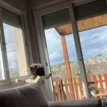 Cozy Cat Hammock with Window View & Wooden Stand photo review