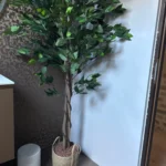 Chic Nordic Handmade Straw Planter Basket for Stylish Storage photo review