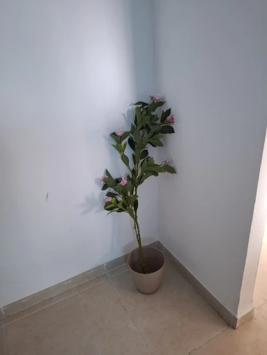 Lifelike Tropical Ficus Tree - No-Maintenance Home Decor photo review