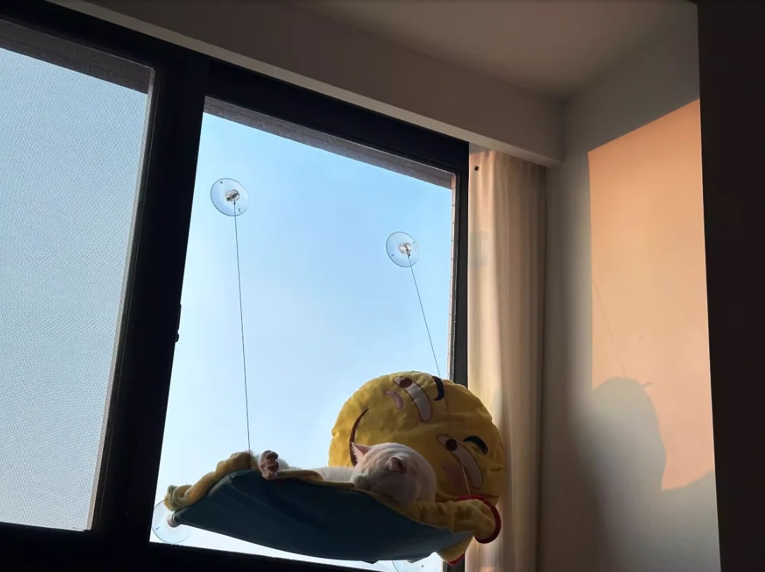 Sunny Cat Hammock Bed - Cozy Aerial Window Nest for Cats photo review