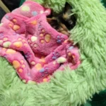 Home Plush Pet Nest Winter Cat Nest Dog Nest Warm Detachable and Washable Round Cat Nest Pet Bed Seasonal Universal Decoration photo review