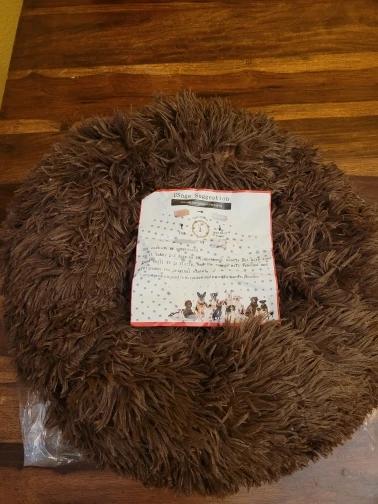 Cozy Round Pet Bed in Stylish Gradient for Large Dogs photo review