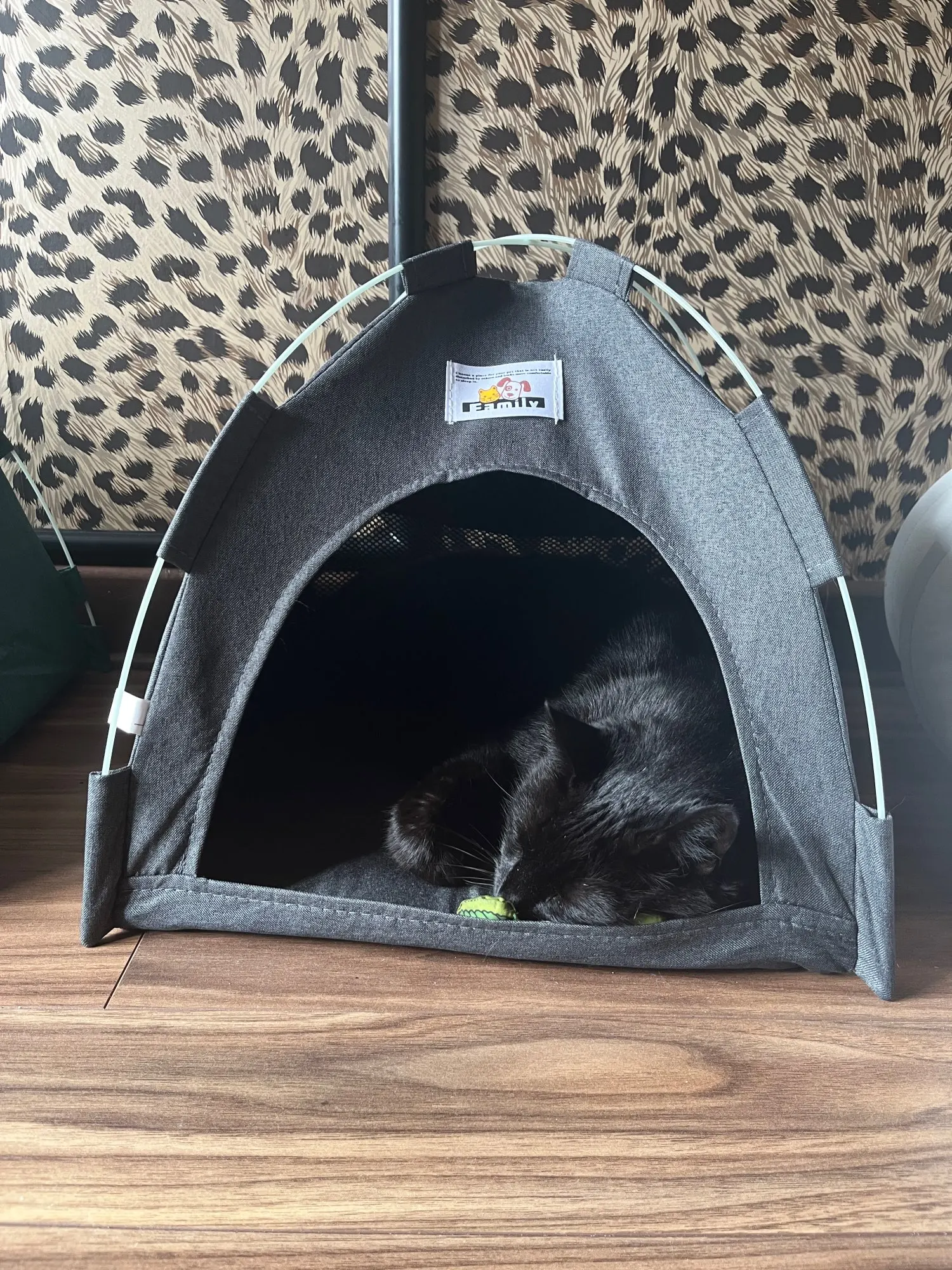 Versatile Foldable Cat Tent: Cool & Cozy All-Season Haven photo review