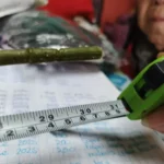 Lifelike Tropical Ficus Tree - No-Maintenance Home Decor photo review