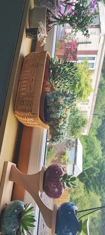 Hand-Woven Decorative Storage Basket for Stylish Home Organization photo review