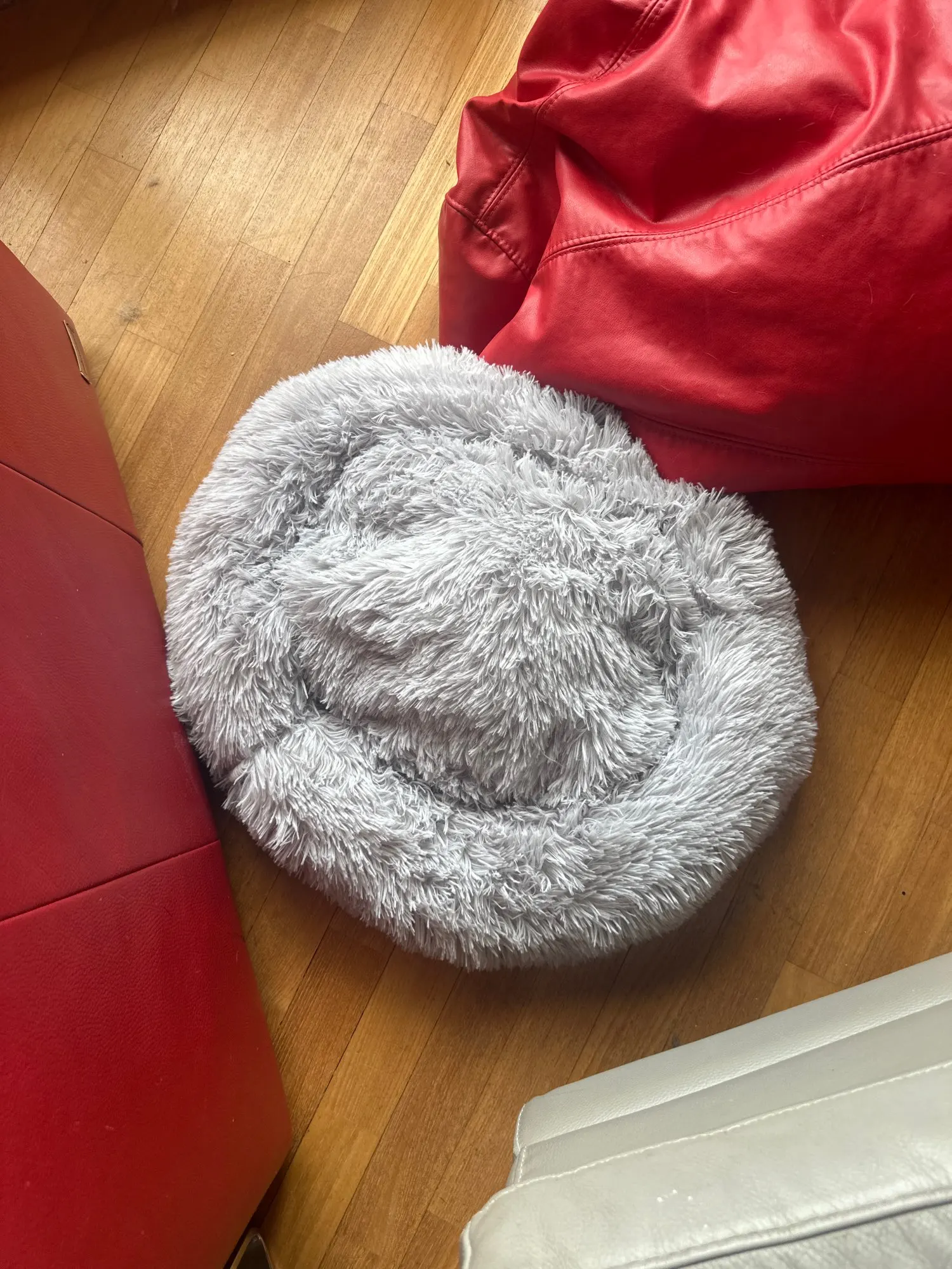 Cozy Round Pet Bed in Stylish Gradient for Large Dogs photo review