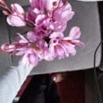 Elegant Magnolia Silk Flower Set - 5 Forks, 20 Heads for Home Decor photo review