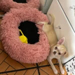 Plush Donut Cat Bed: Cozy, Washable Comfort for Pets photo review