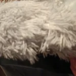 Cozy Plush Cat Bed for Ultimate Warmth & Comfort photo review