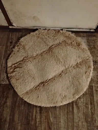 Ultra Cozy Fluffy White Round Rug for Chic Home Decor photo review
