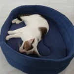 Dog Cushions Pet Bed Sofa Beds Large Dogs Fluffy Medium Blanket Pets Accessories Bad Mat Products Puppy Supplies Cats Small Big photo review