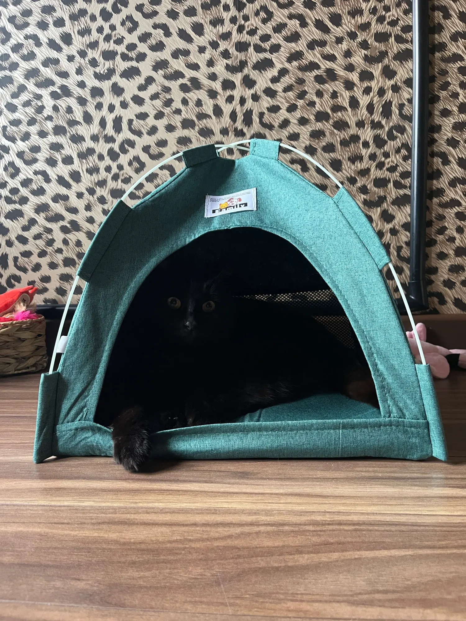 Versatile Foldable Cat Tent: Cool & Cozy All-Season Haven photo review