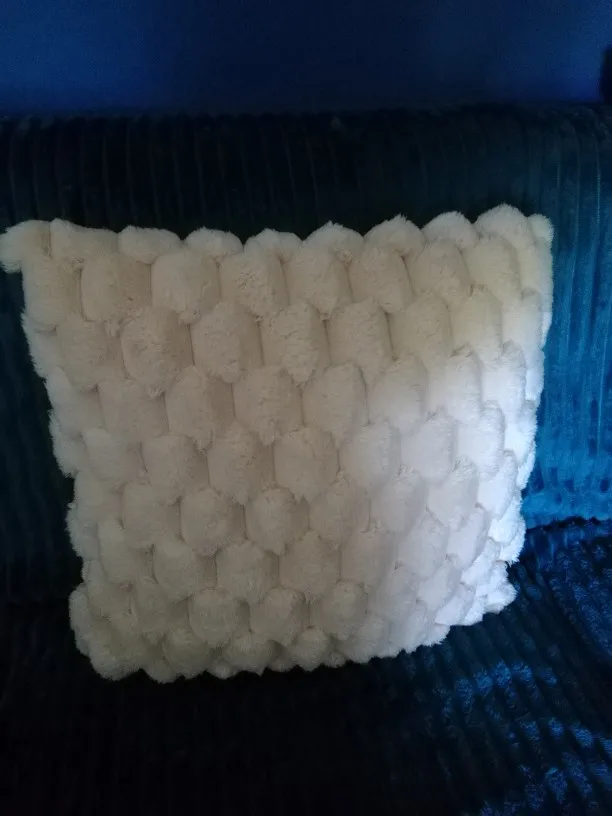 Cozy Cream Pineapple Turtle Plush Pillowcase for Home Decor photo review