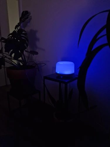 Elegant Aromatherapy Diffuser: Remote Control & LED Lights photo review