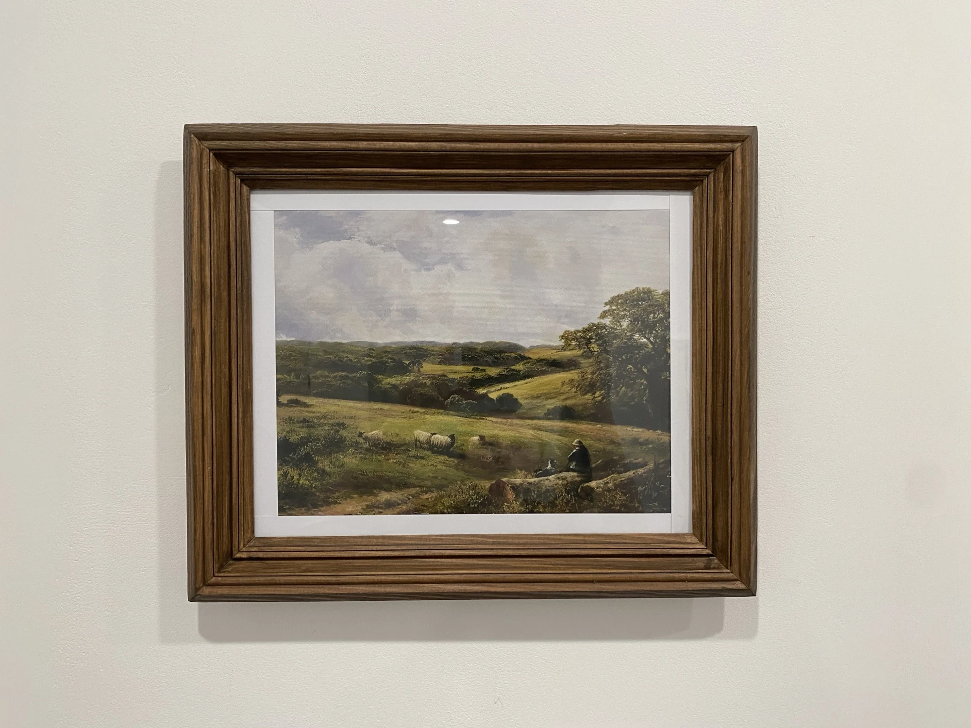 Charming Rustic Cattle & Sheep Canvas for Cozy Spaces photo review