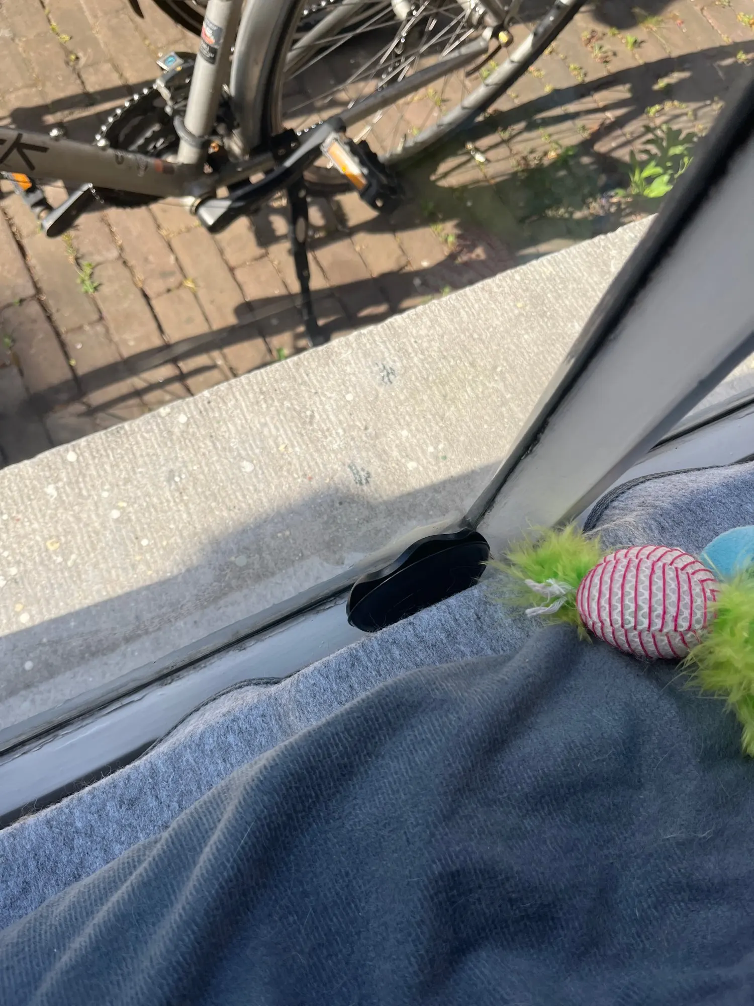 Cozy Cat Hammock with Suction Cups – Elevated Sunbathing Bed photo review