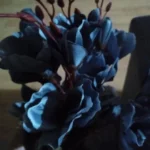 Elegant Magnolia Silk Flower Set - 5 Forks, 20 Heads for Home Decor photo review