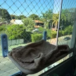 Sunshine Bliss: Foldable Suction Cup Cat Hammock Bed photo review