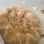 Cozy Round Pet Bed in Stylish Gradient for Large Dogs photo review