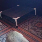 Portable Elevated Dog Bed for Camping & Travel Comfort photo review
