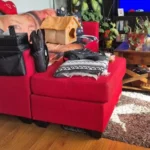 Cozy Foldable Pet House: Washable Cave for Cats & Small Dogs photo review