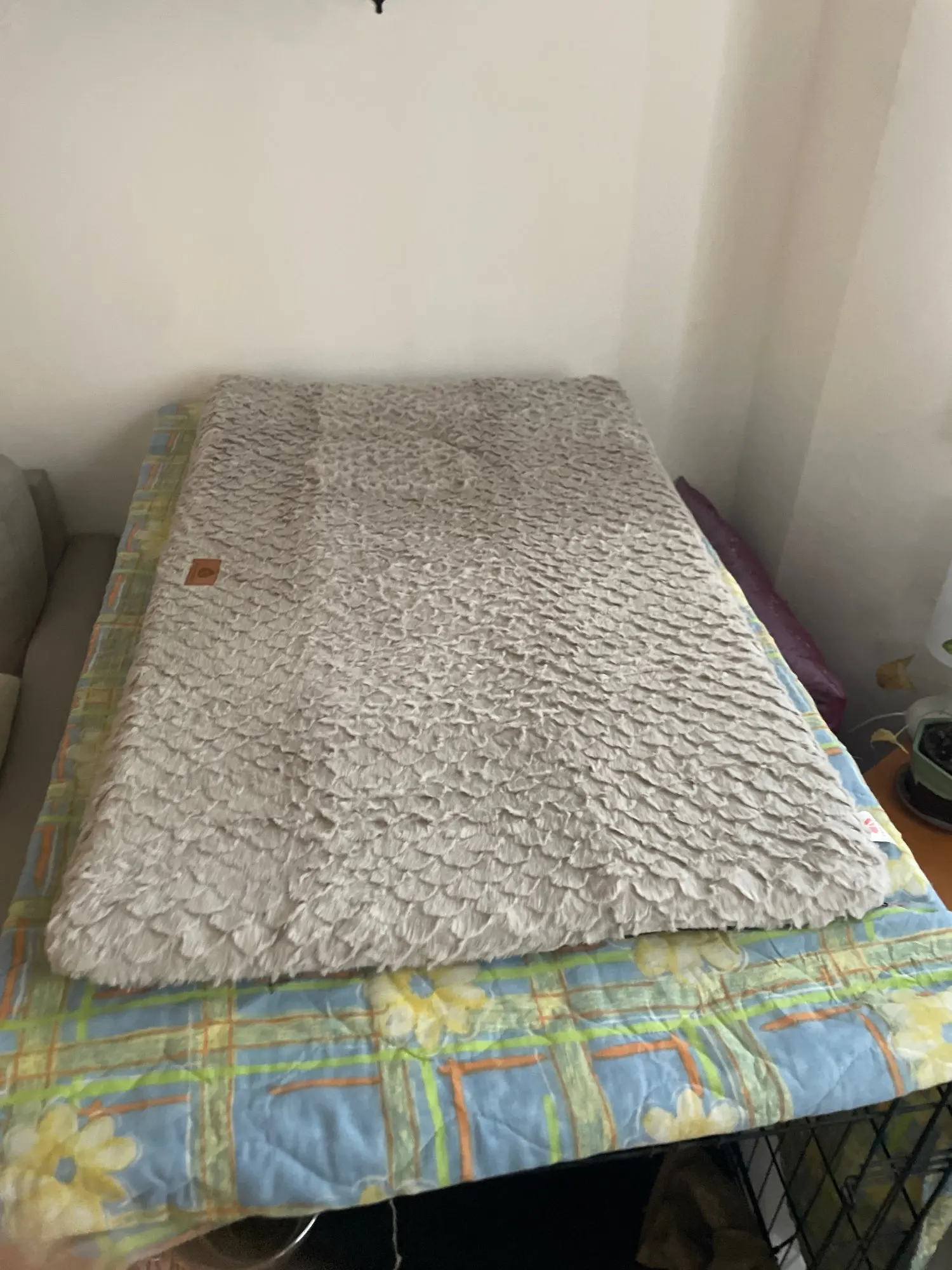 Orthopedic 3 D Foam Dog Bed with Washable Cover & Anti-Slip Base photo review