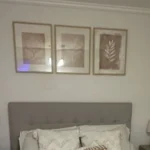 Minimalist Fern Canvas Art Set – Warm Boho Home Decor photo review