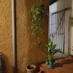 Garden Hanging Planter Macrame Plant Storage Basket Jute Rope Woven Indoor Outdoor Flower Pot Holder Plant Hangers Home Decor photo review