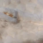 Cozy Cream Pineapple Turtle Plush Pillowcase for Home Decor photo review