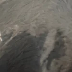 Plush Donut Cat Bed: Cozy, Washable Comfort for Pets photo review