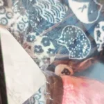 Cozy Plush Cat & Small Dog Bed Mat - Breathable & Soft photo review