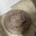 Cozy Round Plush Dog & Cat Bed for Ultimate Warmth & Style photo review