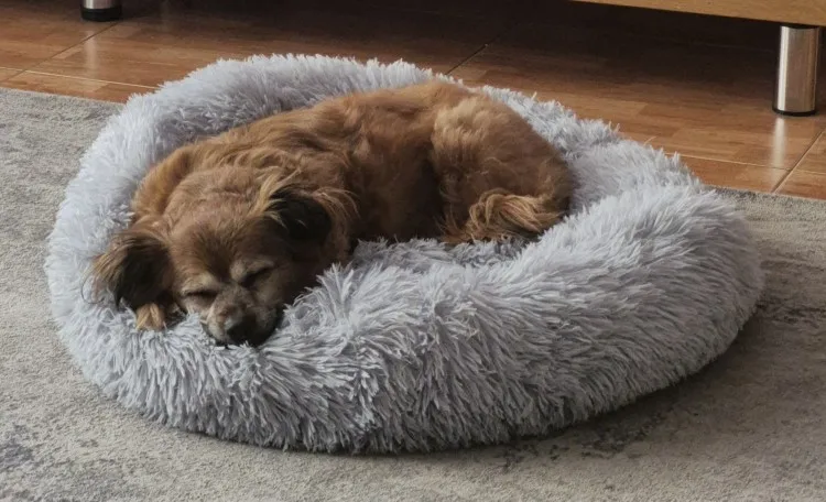 Cozy Round Plush Dog & Cat Bed for Ultimate Warmth & Style photo review