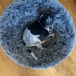 Cozy Round Pet Bed in Stylish Gradient for Large Dogs photo review