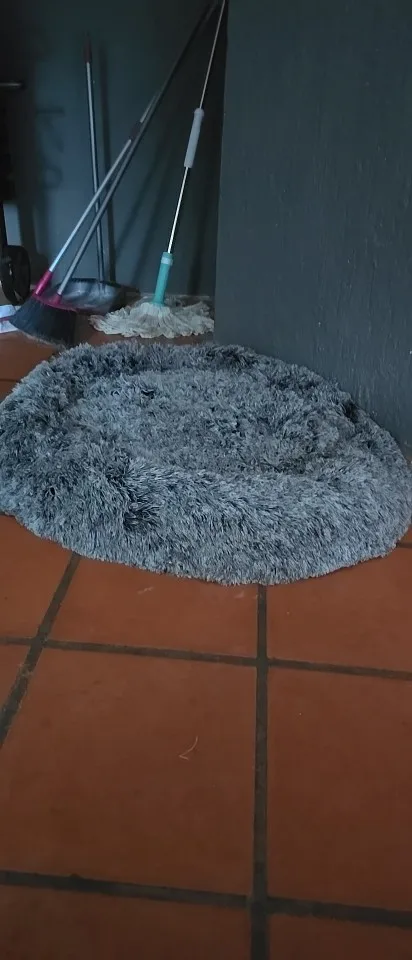 Cozy Round Pet Bed in Stylish Gradient for Large Dogs photo review