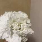 Elegant 5-Piece Hydrangea & Peony Bouquet for Home Decor photo review