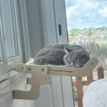 Cozy Cat Hammock with Window View & Wooden Stand photo review