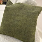 Modern, Simple, Luxurious, and Green Style Home Sofa Pillows, Cushions, and Soft Upholstered Pillows for Homestays photo review