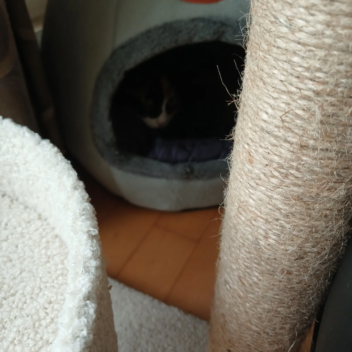 Cozy Cotton Cat Cave: Ultimate Winter Pet Bed Retreat photo review