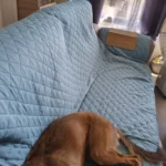 Waterproof Sofa Slipcover for Kids & Pets - Non-Slip Comfort photo review