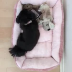 Bed for Dog Cat Pet Square Plush Kennel Medium Small Dog Sofa Bed Cushion Pet Calming Dog Bed House Pet Supplies Accessories photo review