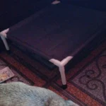 Portable Elevated Dog Bed for Camping & Travel Comfort photo review