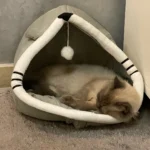 Cozy Cartoon Cat Bed: Removable, Washable, & Foldable Delight photo review