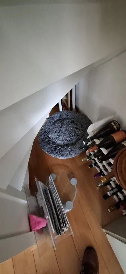 Cozy Round Pet Bed in Stylish Gradient for Large Dogs photo review