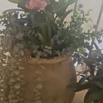 Lifelike Tropical Ficus Tree - No-Maintenance Home Decor photo review