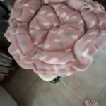 Cozy Adjustable Cotton Pet Nest Bed for Cats & Puppies photo review